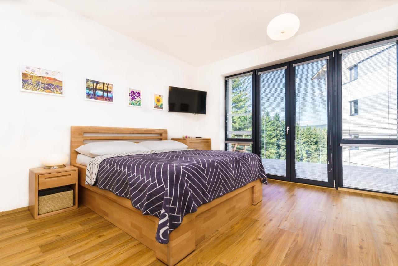 Horsky Apartman Temari 6 Klinovec Loučná pod Klínovcem Bagian luar foto